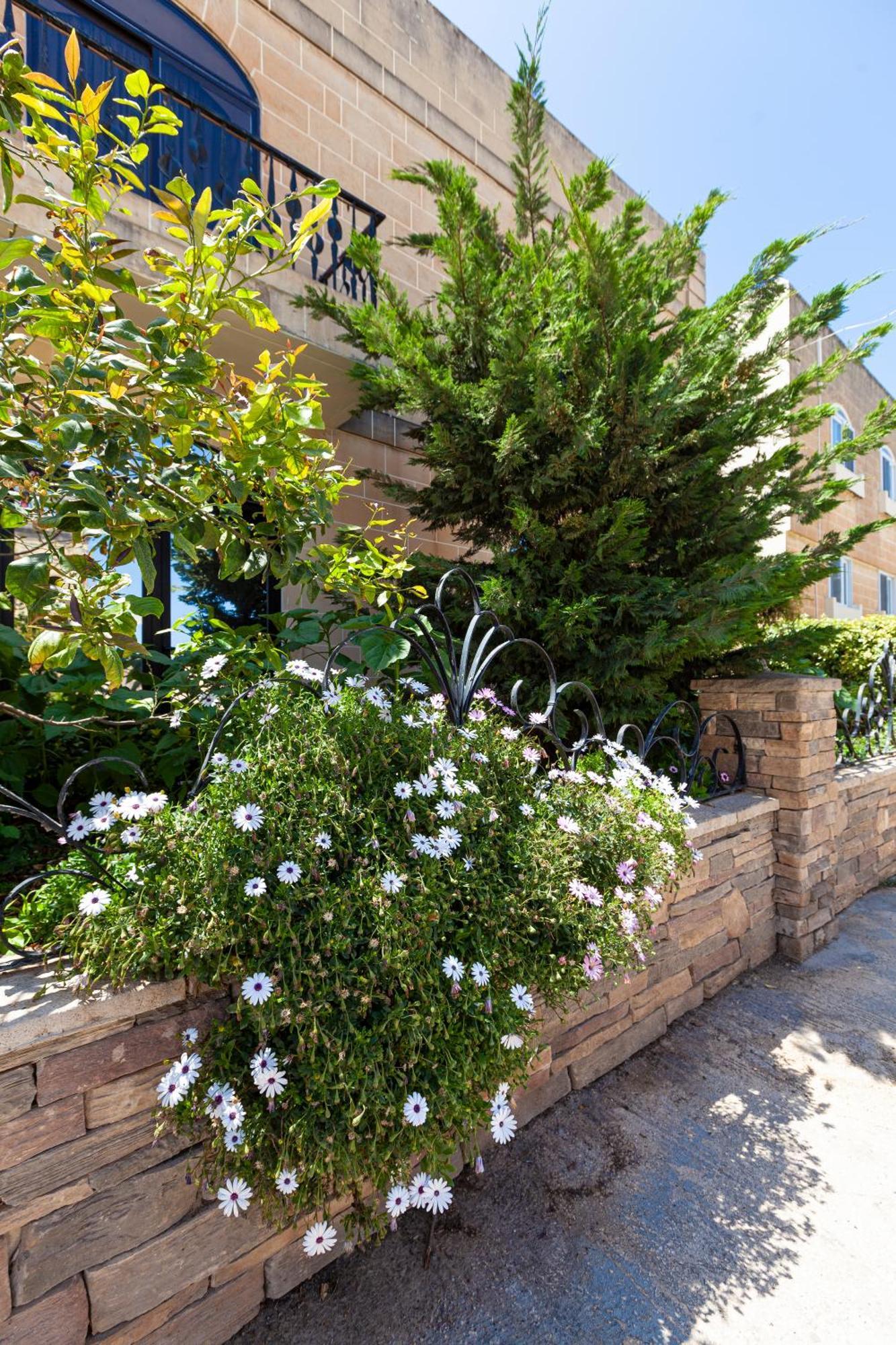 Modern & Lovely Studio - Prime Location San Julián Exterior foto
